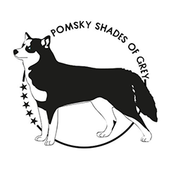 Pomsky Shades of Grey logo