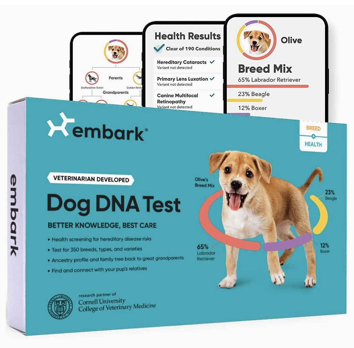 Embark DNA test Pomsky